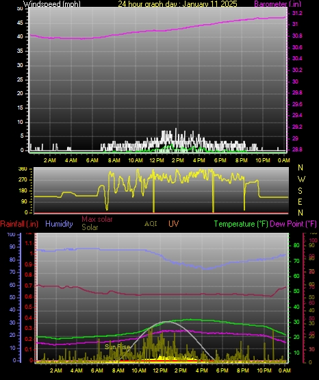 24 Hour Graph for Day 11