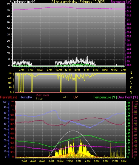 24 Hour Graph for Day 10